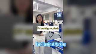 Portable Laser Terminal Marking Machine