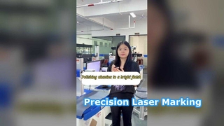 Precision Laser Marker for Metal & Plastic