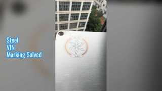 VIN Code Laser Marking Machine for Steel
